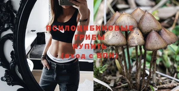 таблы Алзамай