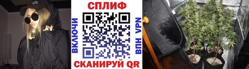 Бошки марихуана MAZAR  купить наркоту  Могоча 